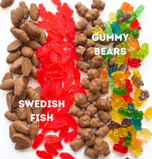Chocolate Covered Gummies