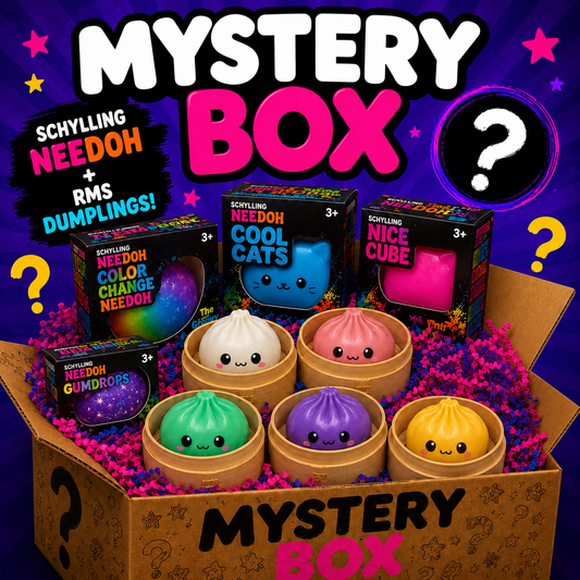 Schylling NeeDoh® & RMS® Mystery Box